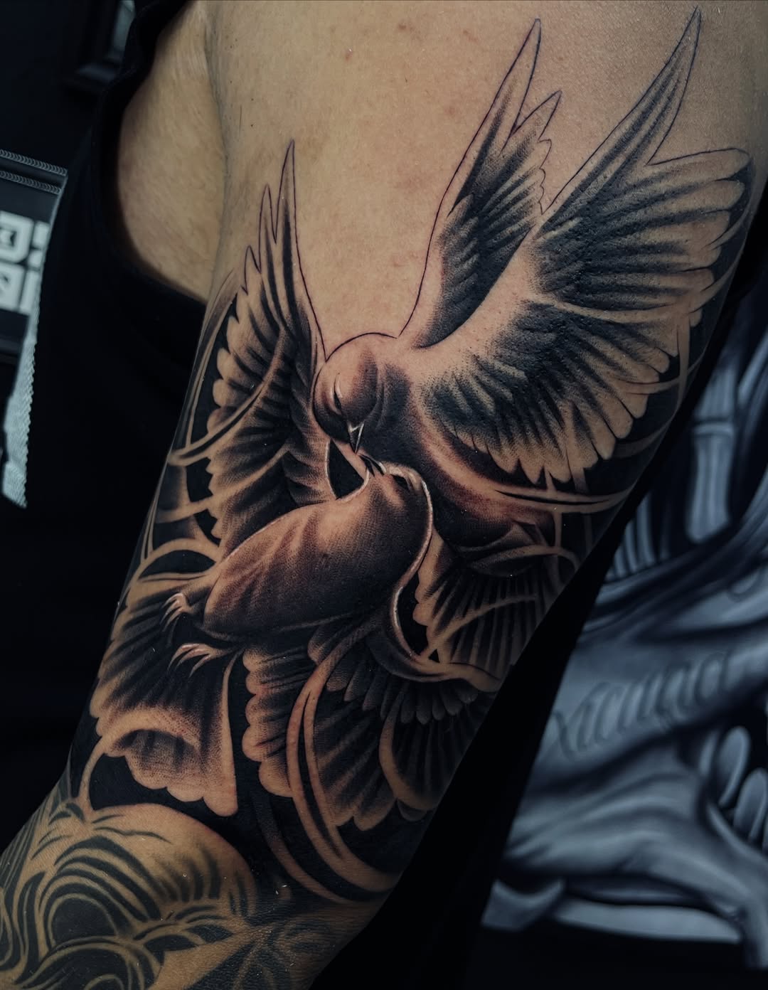Two birds with spread wings in flight, rendered in black and grey with soft shading on the upper arm and shoulder.