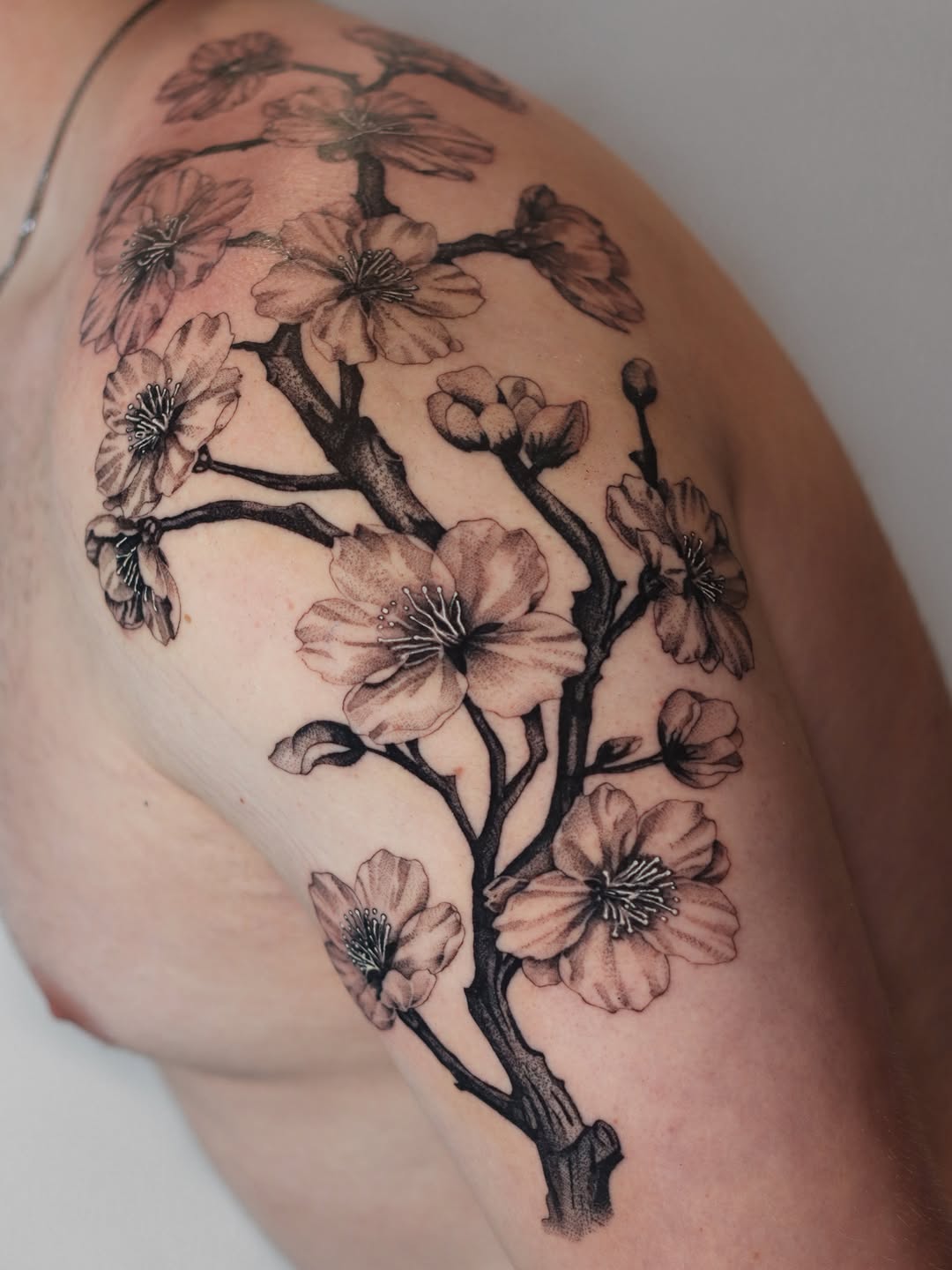 Black and grey cherry blossom branch tattoo on upper arm with detailed shading and fine line work.