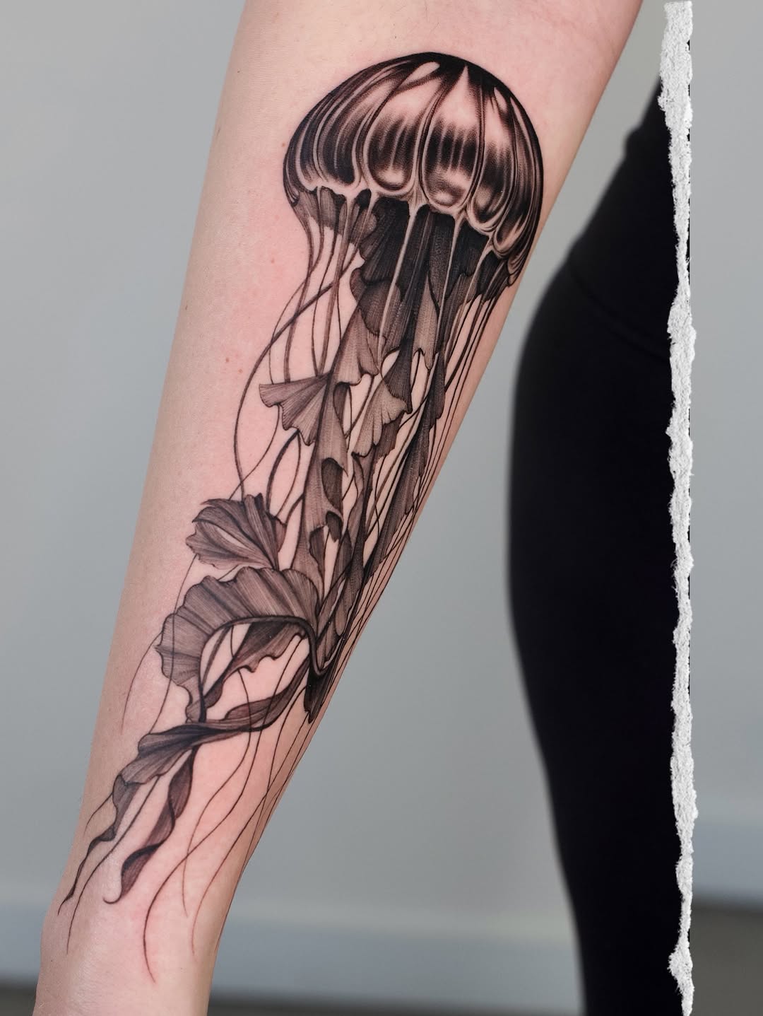 Jellyfish tattoo on forearm with flowing tentacles and detailed shading in black and grey ink.
